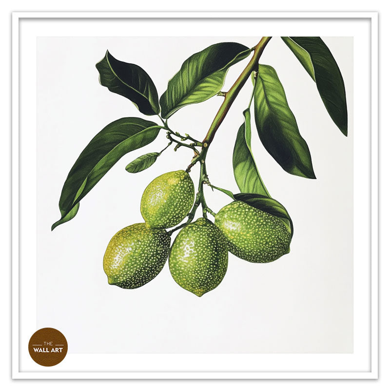 FINGER LIME