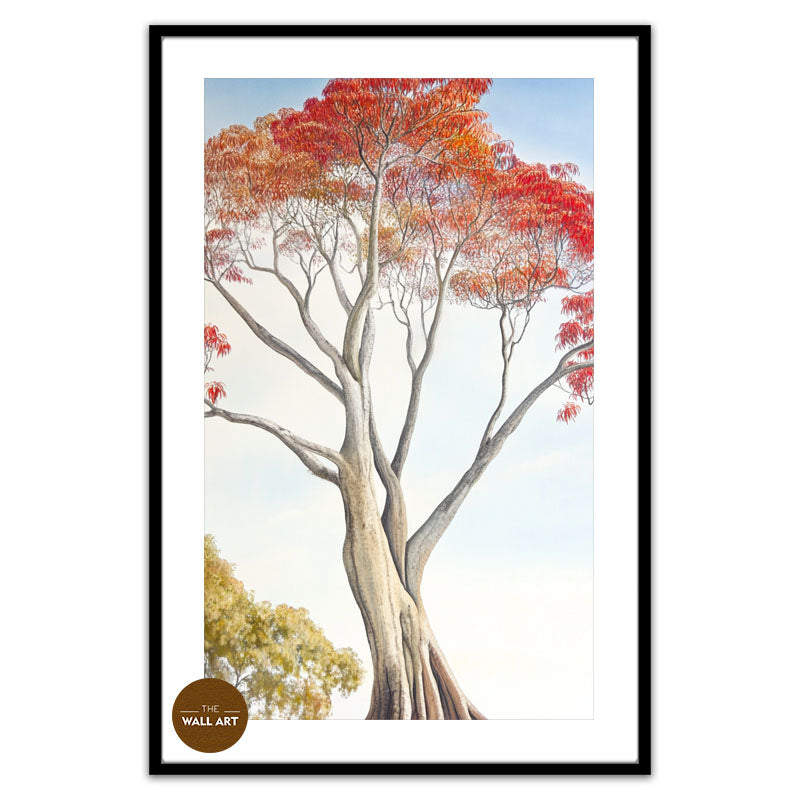 FLAME TREE