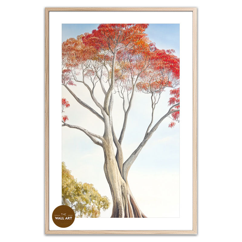 FLAME TREE