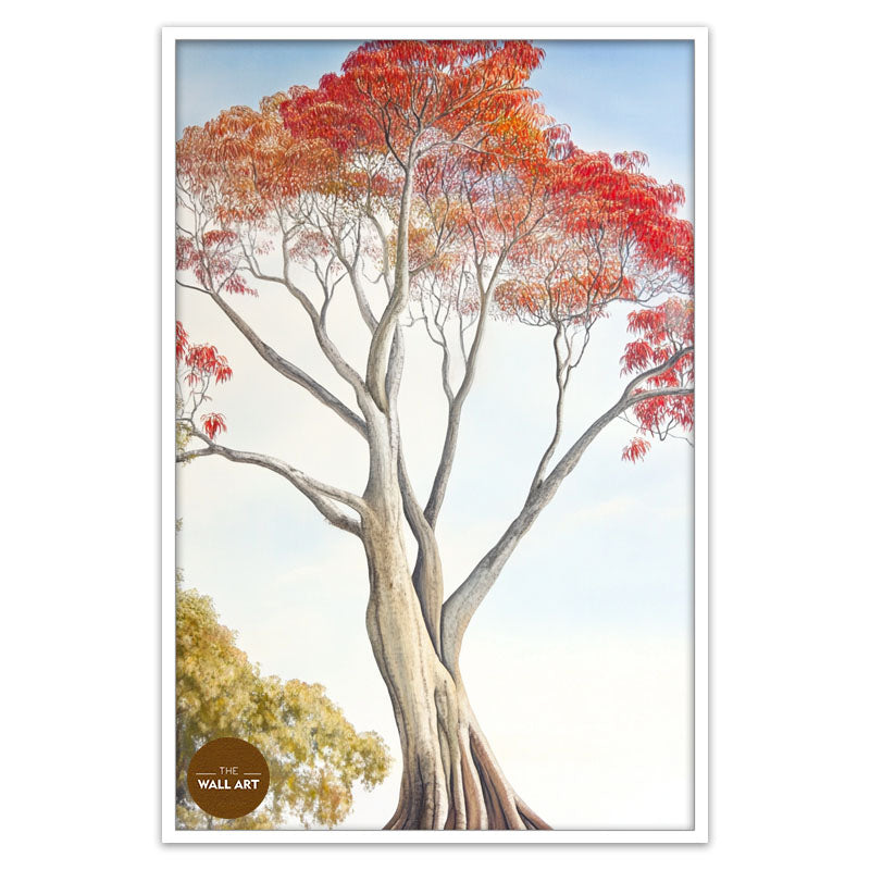 FLAME TREE