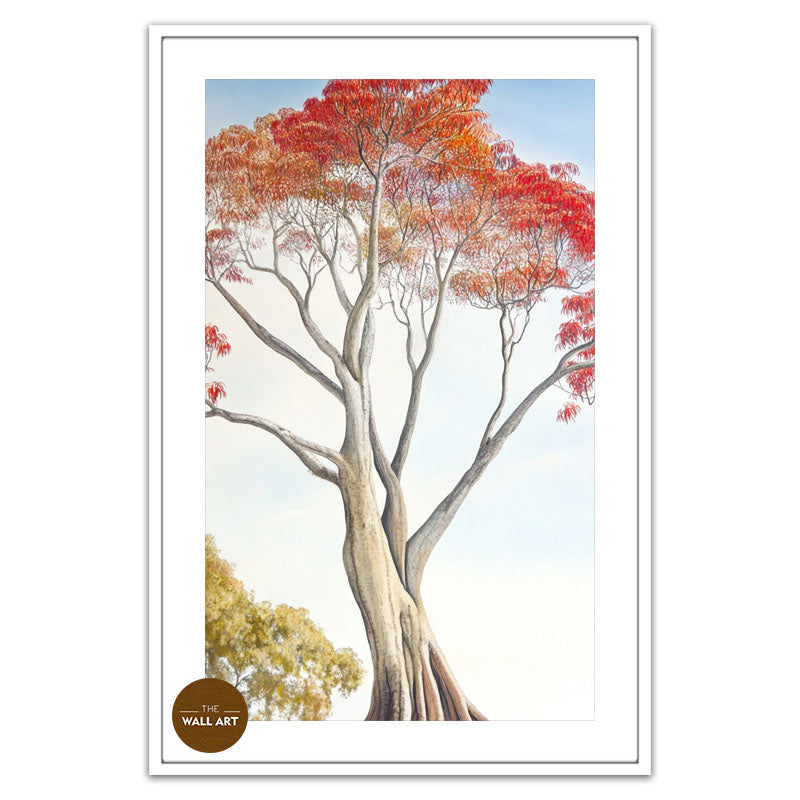 FLAME TREE