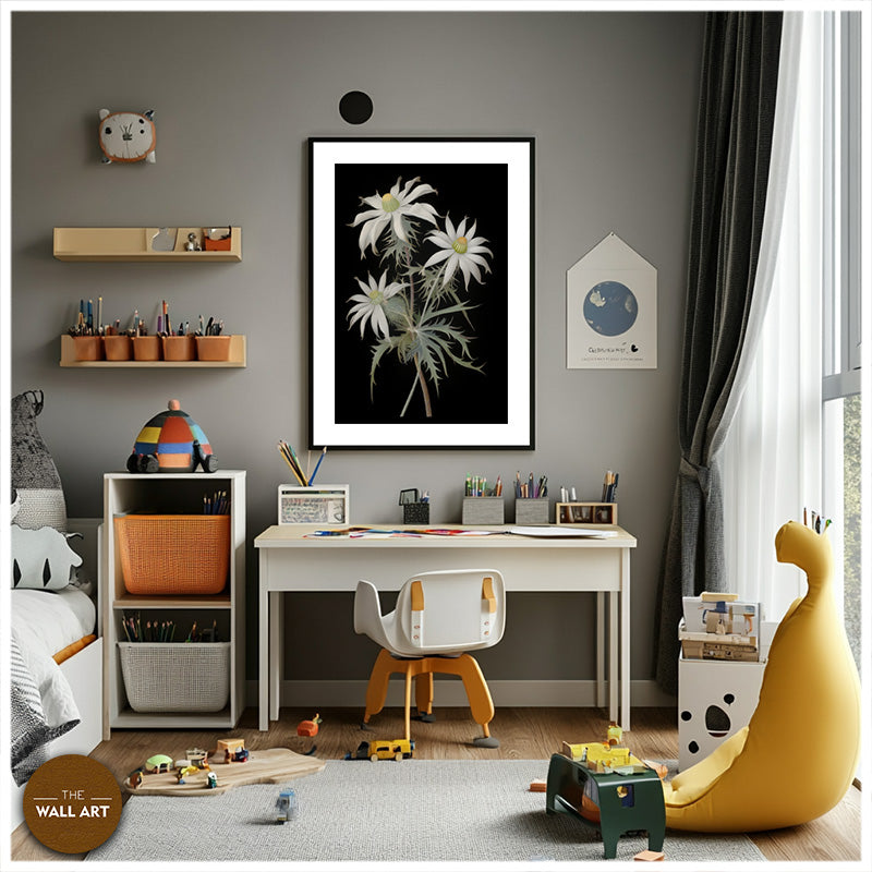 FLANNEL FLOWER