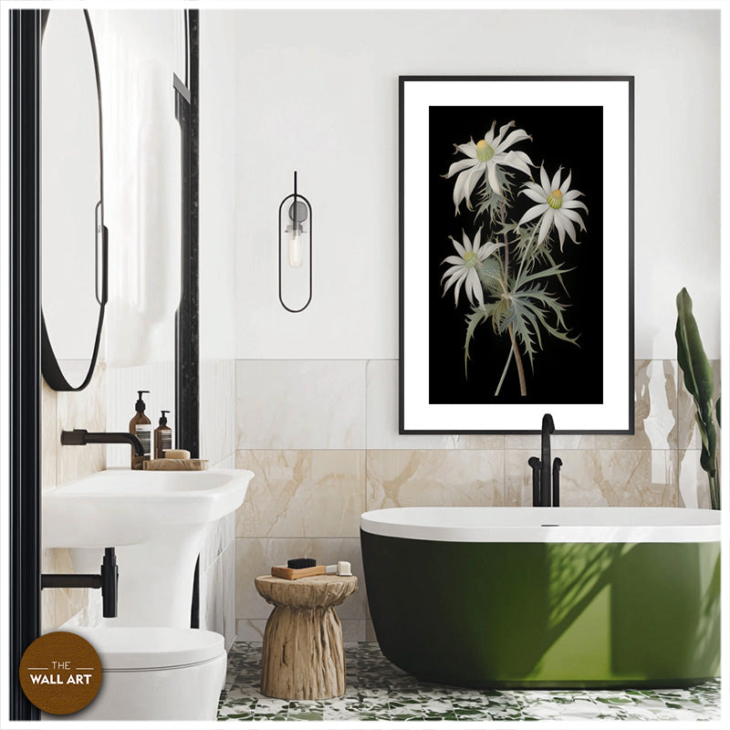 FLANNEL FLOWER
