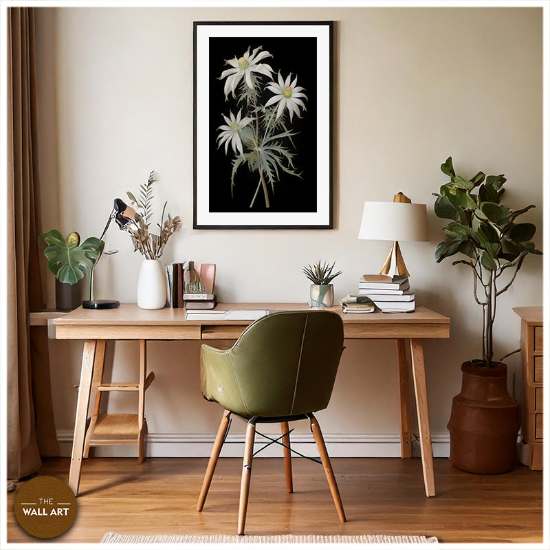 FLANNEL FLOWER