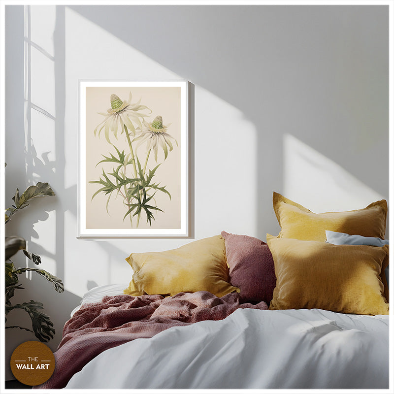 FLANNEL FLOWER BRANCH