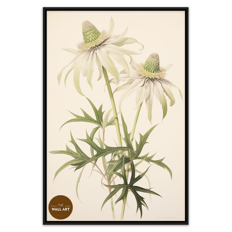 FLANNEL FLOWER BRANCH