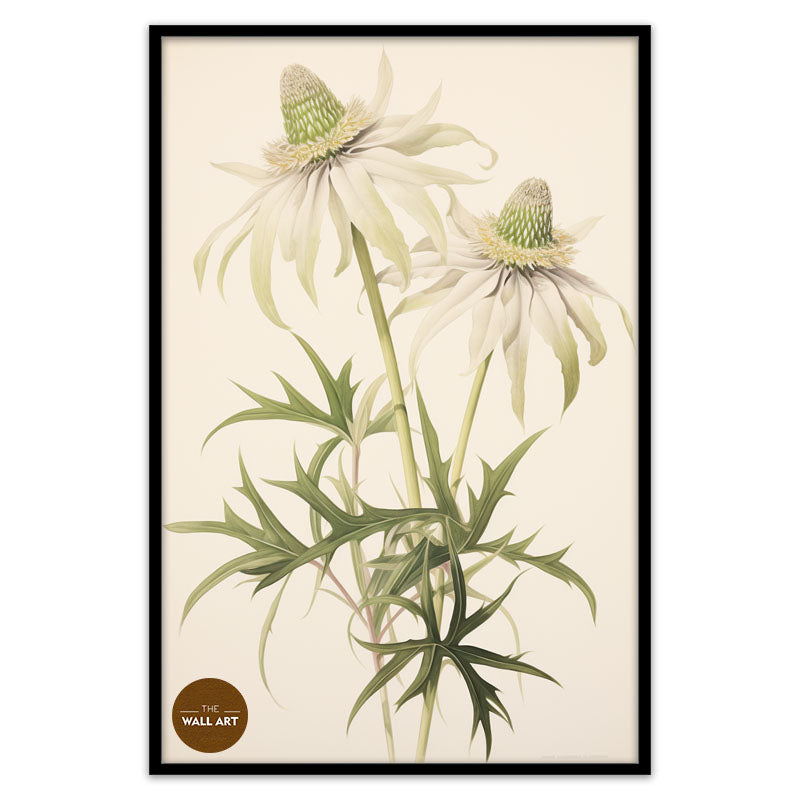 FLANNEL FLOWER BRANCH