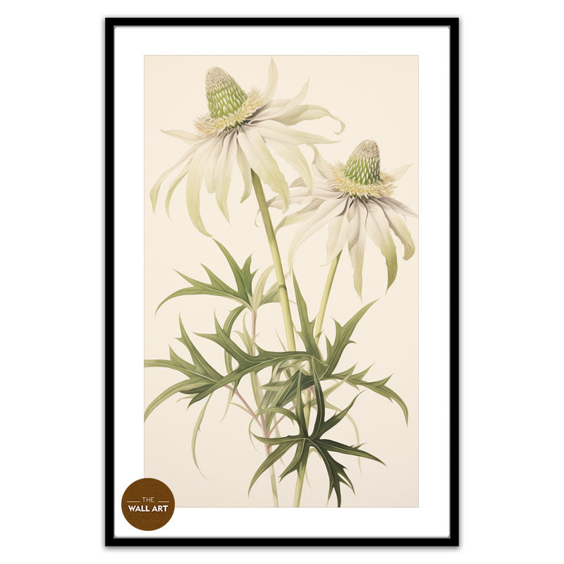 FLANNEL FLOWER BRANCH