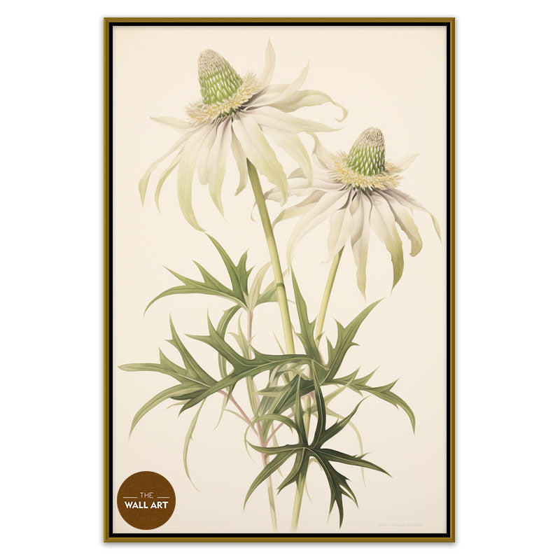 FLANNEL FLOWER BRANCH