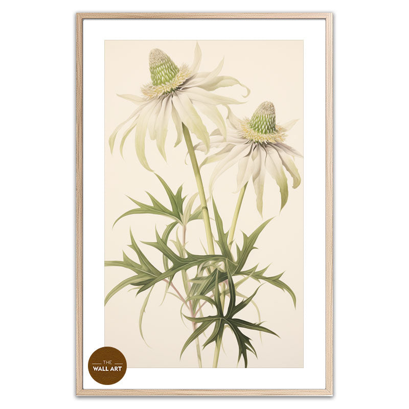 FLANNEL FLOWER BRANCH