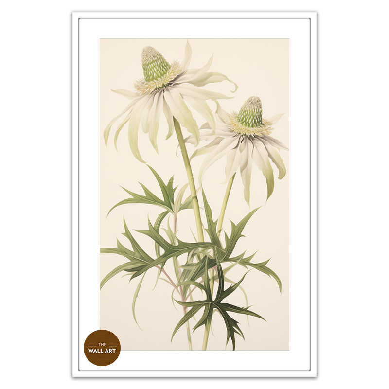 FLANNEL FLOWER BRANCH