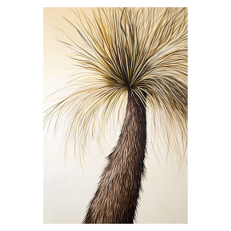 GRASS TREE HAIRY