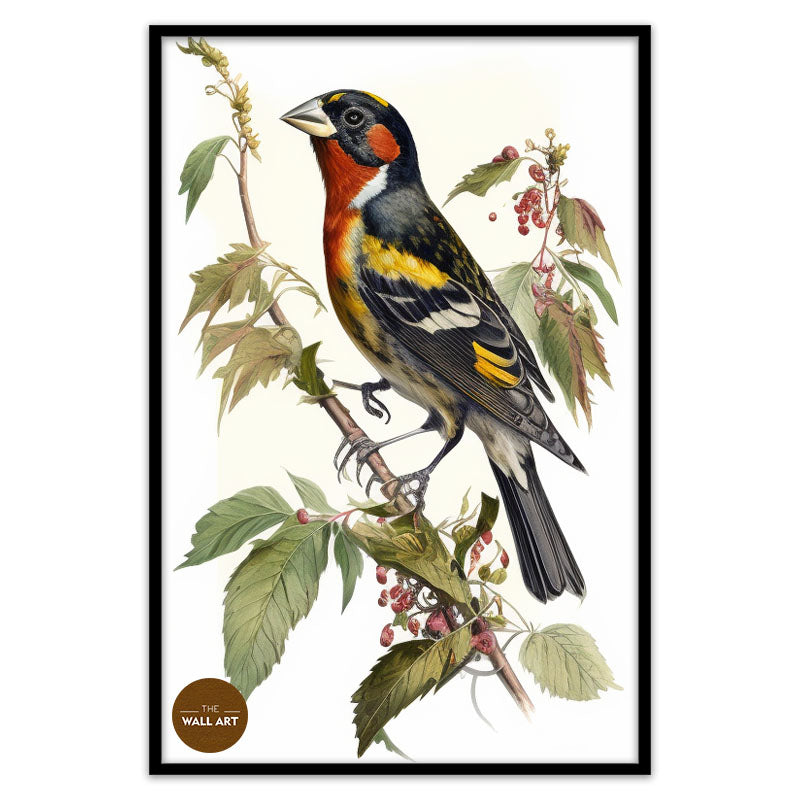GROSBEAK BIRD III
