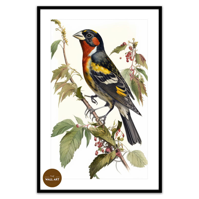 GROSBEAK BIRD III