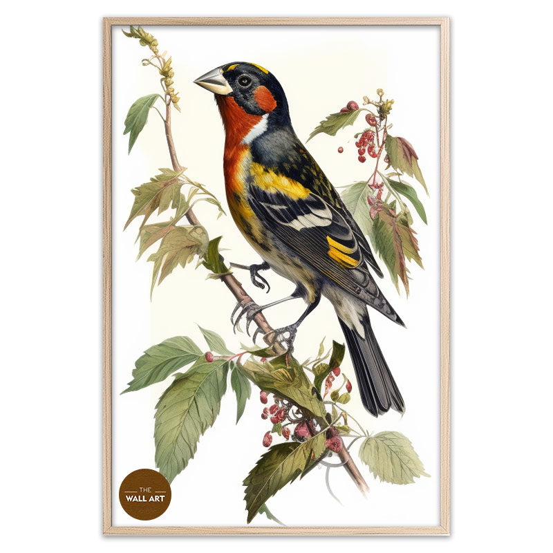 GROSBEAK BIRD III