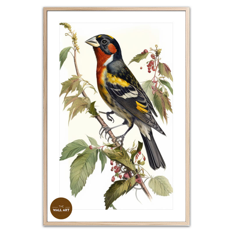 GROSBEAK BIRD III
