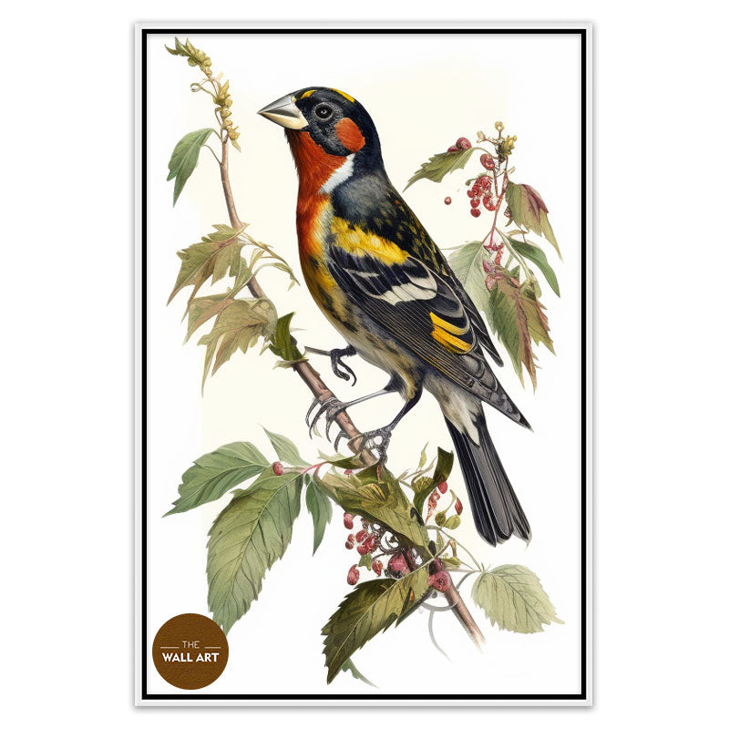 GROSBEAK BIRD III
