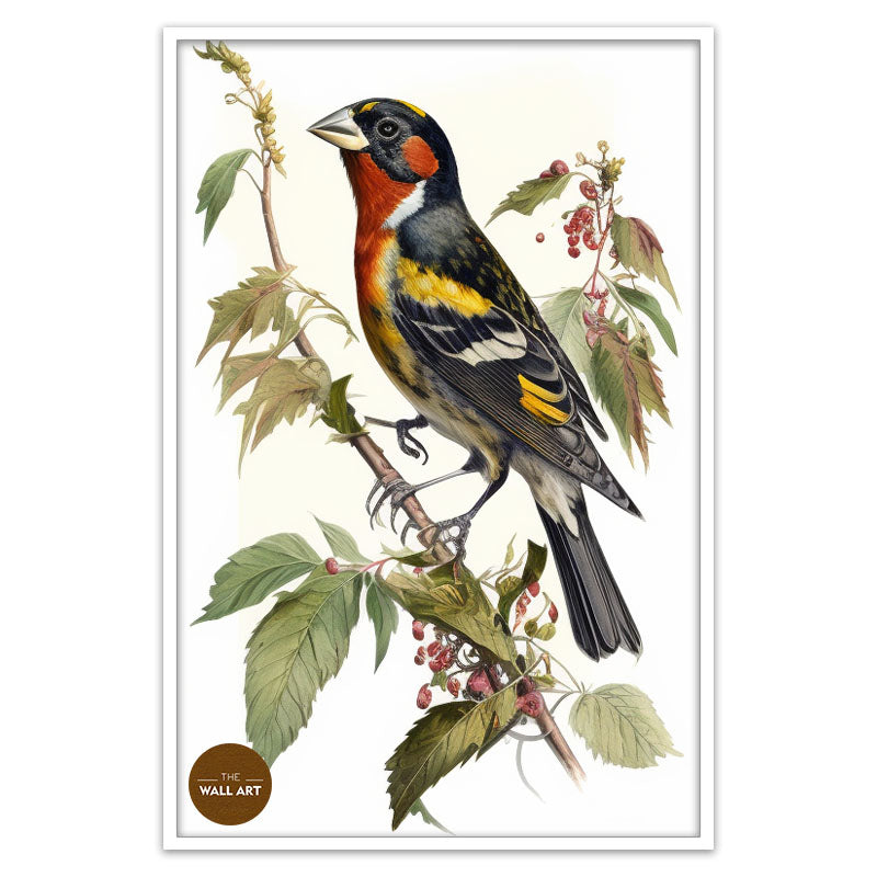 GROSBEAK BIRD III