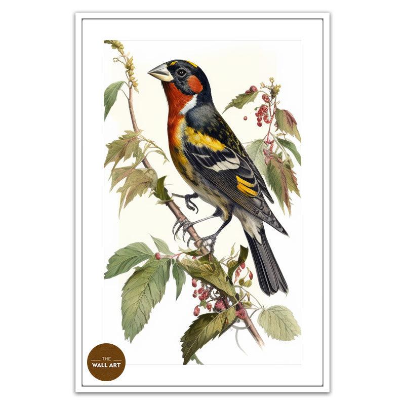 GROSBEAK BIRD III