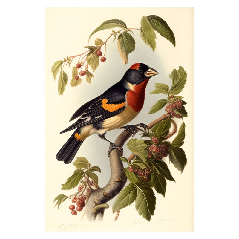 GROSBEAK BIRD II
