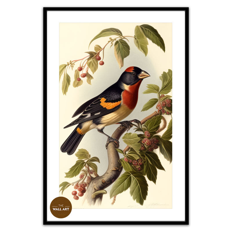 GROSBEAK BIRD II