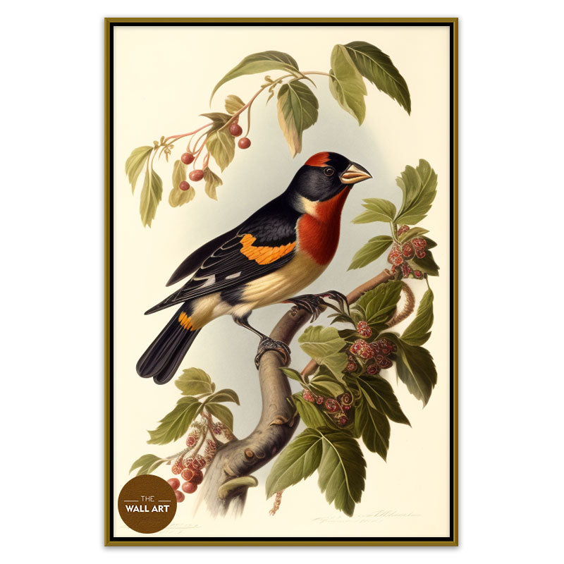GROSBEAK BIRD II
