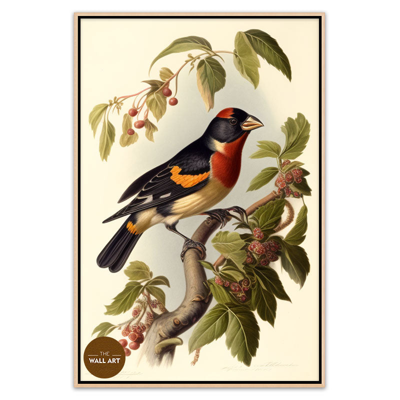 GROSBEAK BIRD II