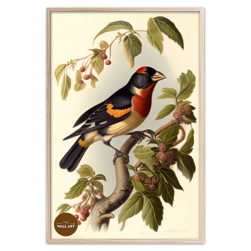 GROSBEAK BIRD II