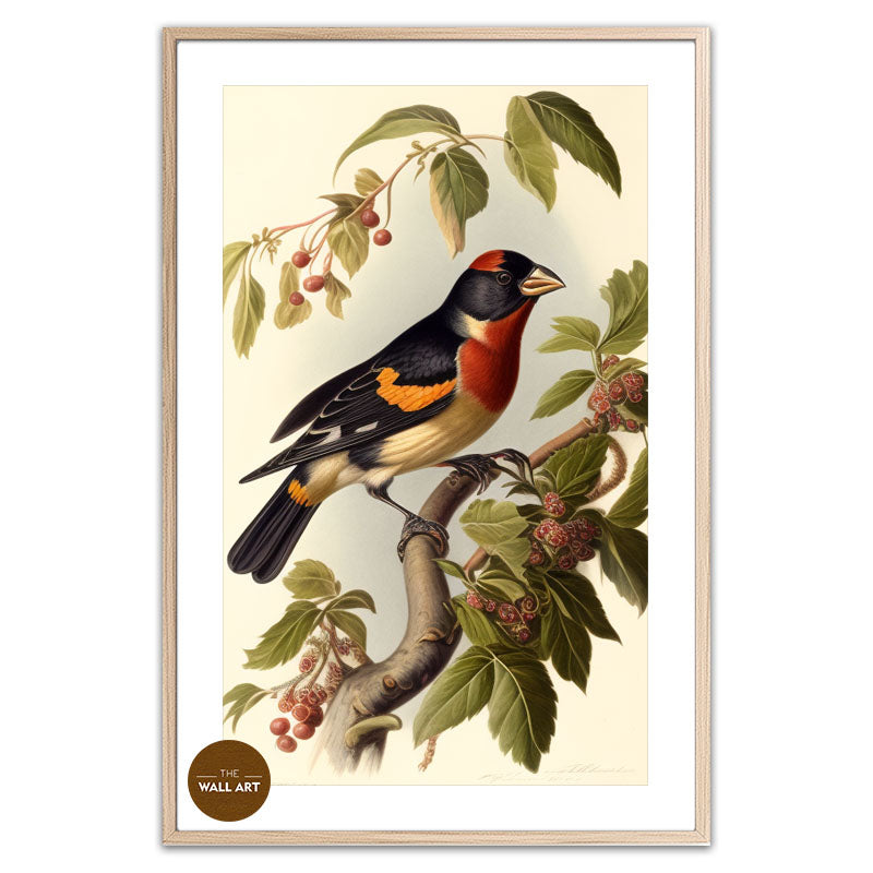 GROSBEAK BIRD II