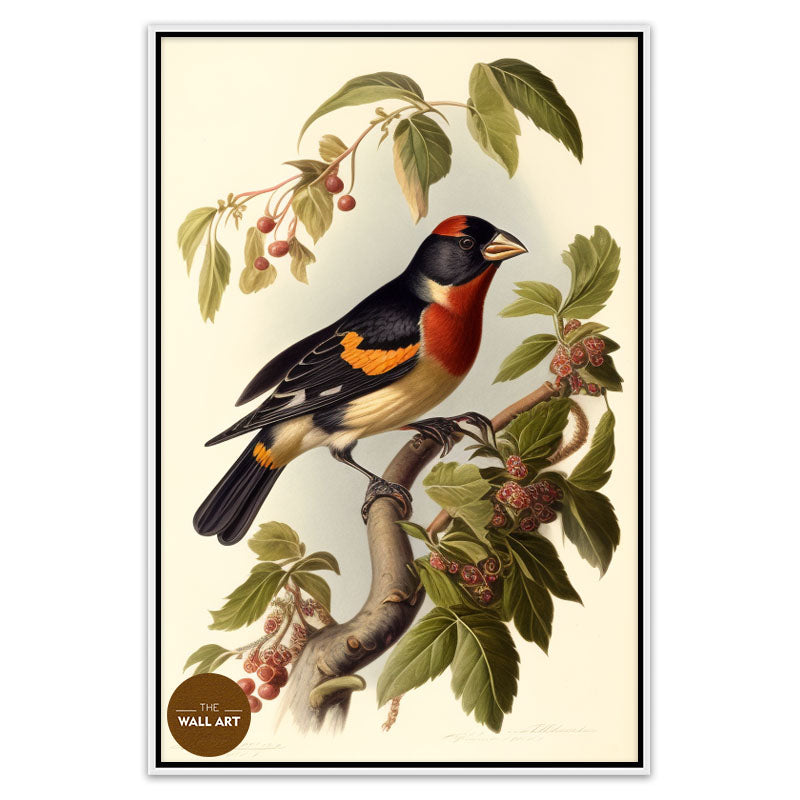 GROSBEAK BIRD II