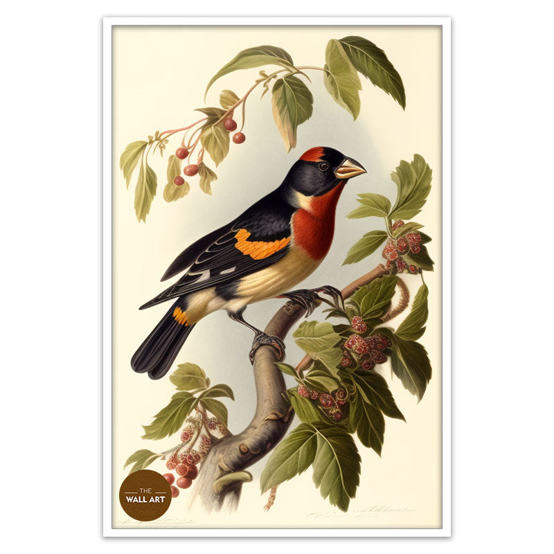 GROSBEAK BIRD II