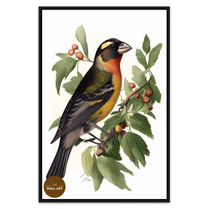 GROSBEAK BIRD I