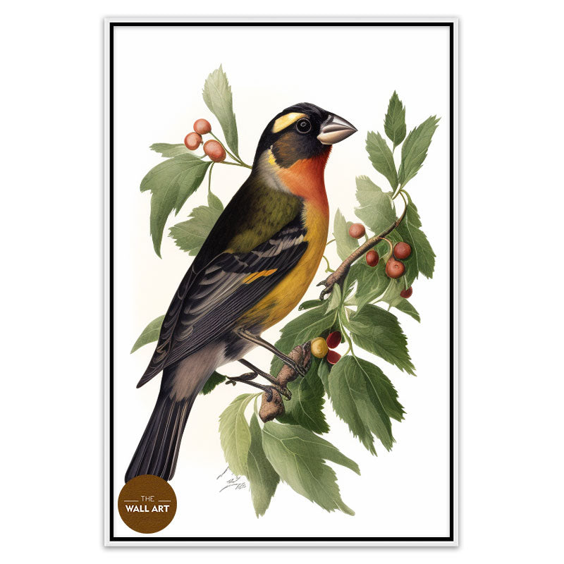 GROSBEAK BIRD I