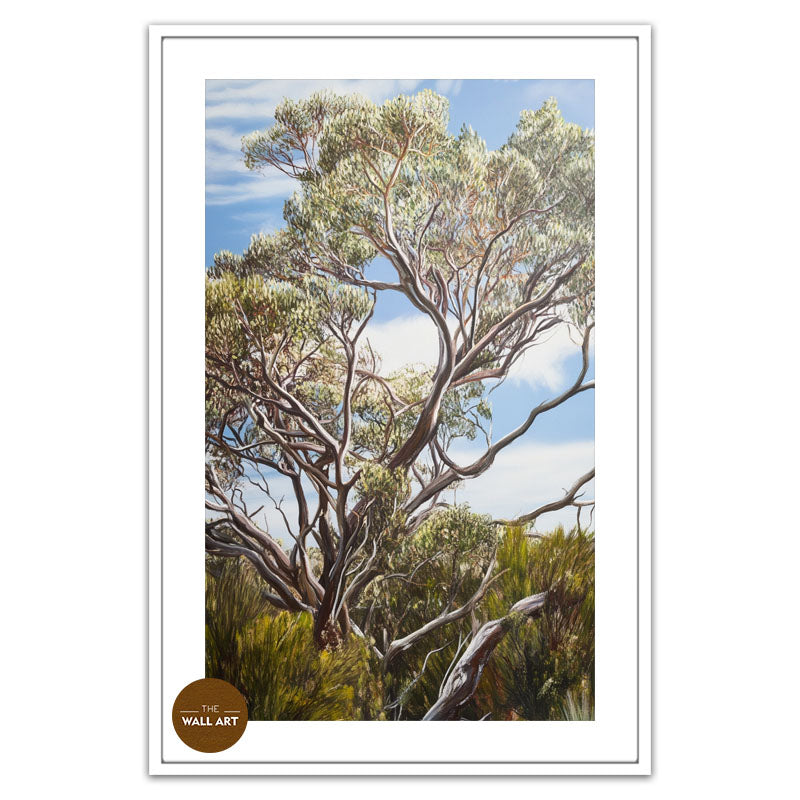 HEATH MYRTLE