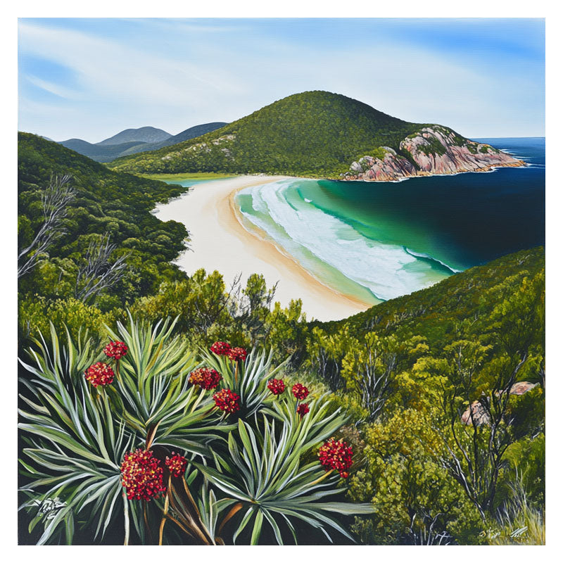 HIGH VIEW FROM WILSONS PROMONTORY