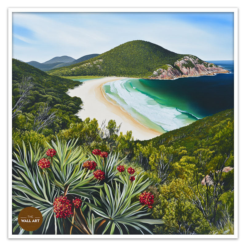HIGH VIEW FROM WILSONS PROMONTORY