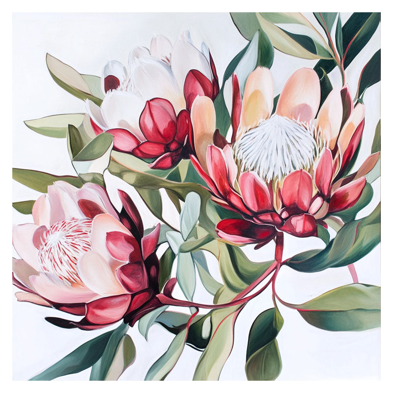 KING PROTEA BRANCH I