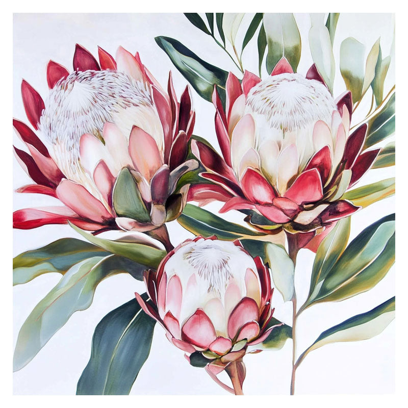 KING PROTEA II