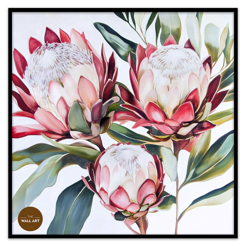KING PROTEA II