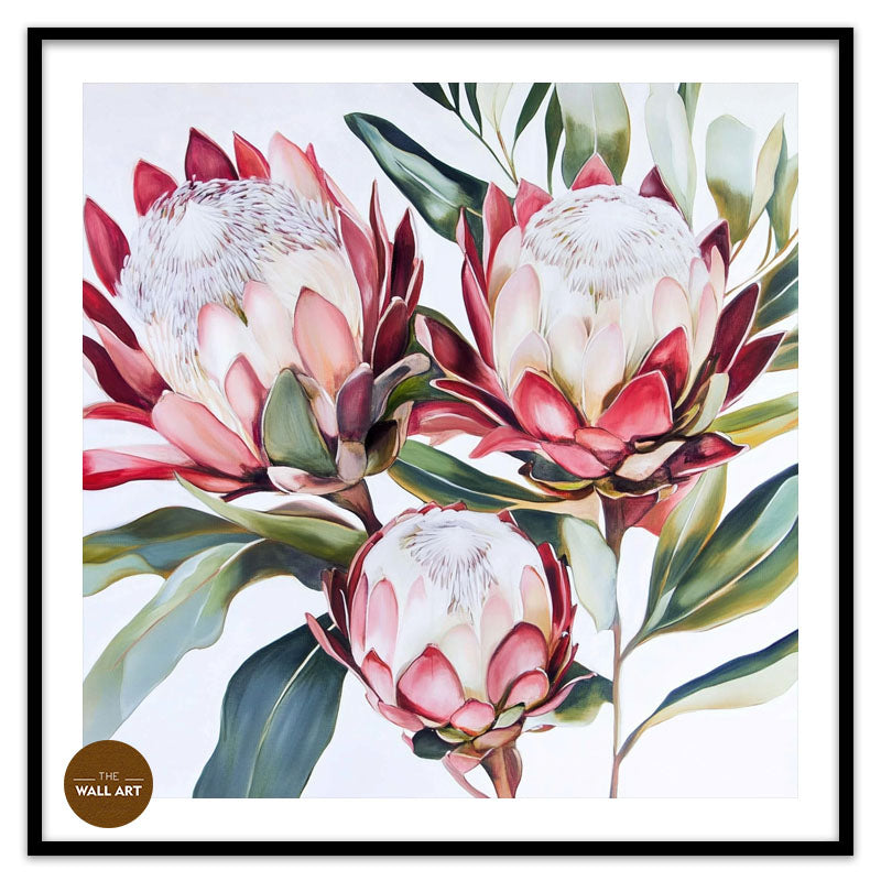KING PROTEA II