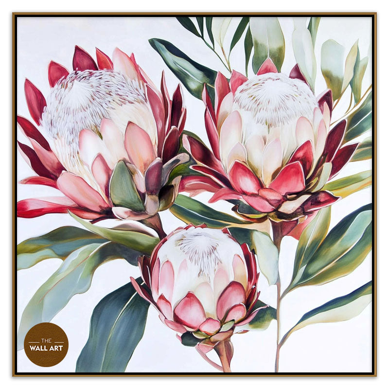 KING PROTEA II