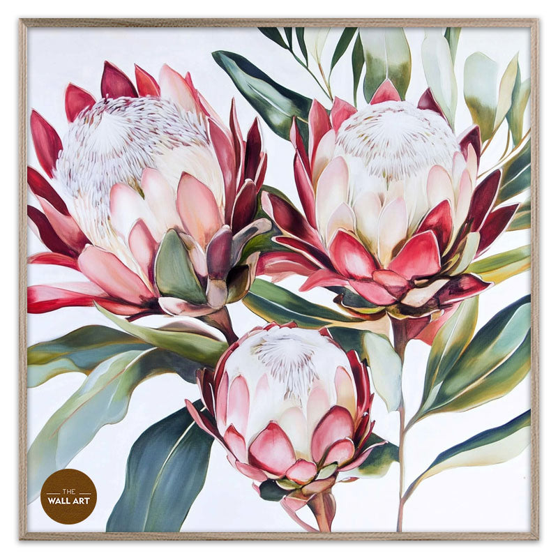 KING PROTEA II