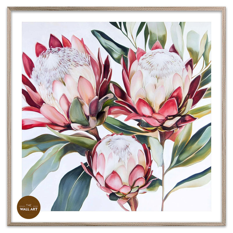 KING PROTEA II