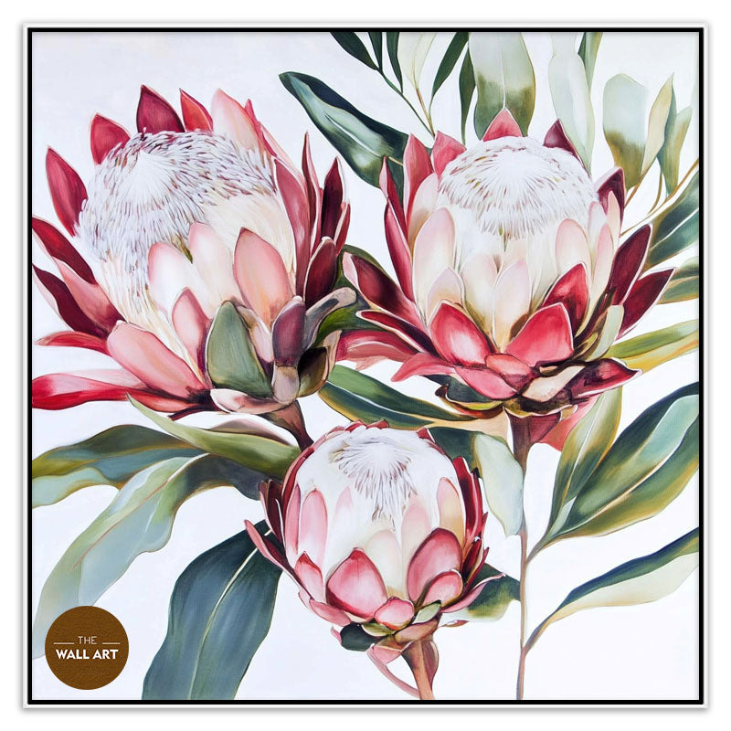 KING PROTEA II