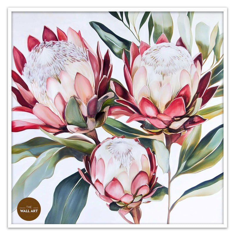 KING PROTEA II