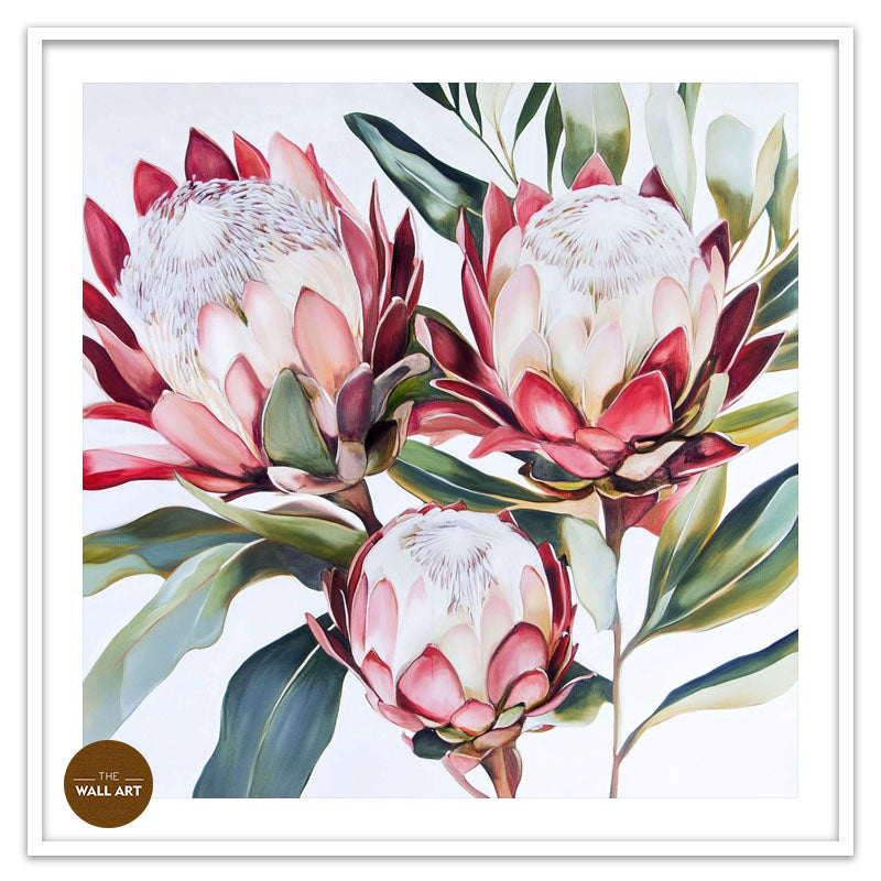 KING PROTEA II