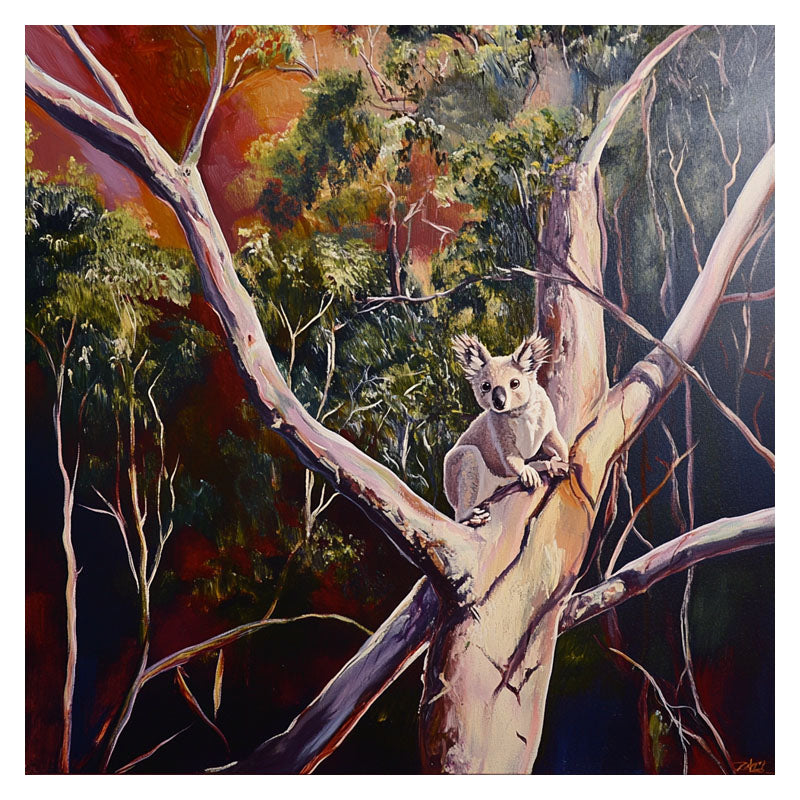 KOALA IN THE TREE