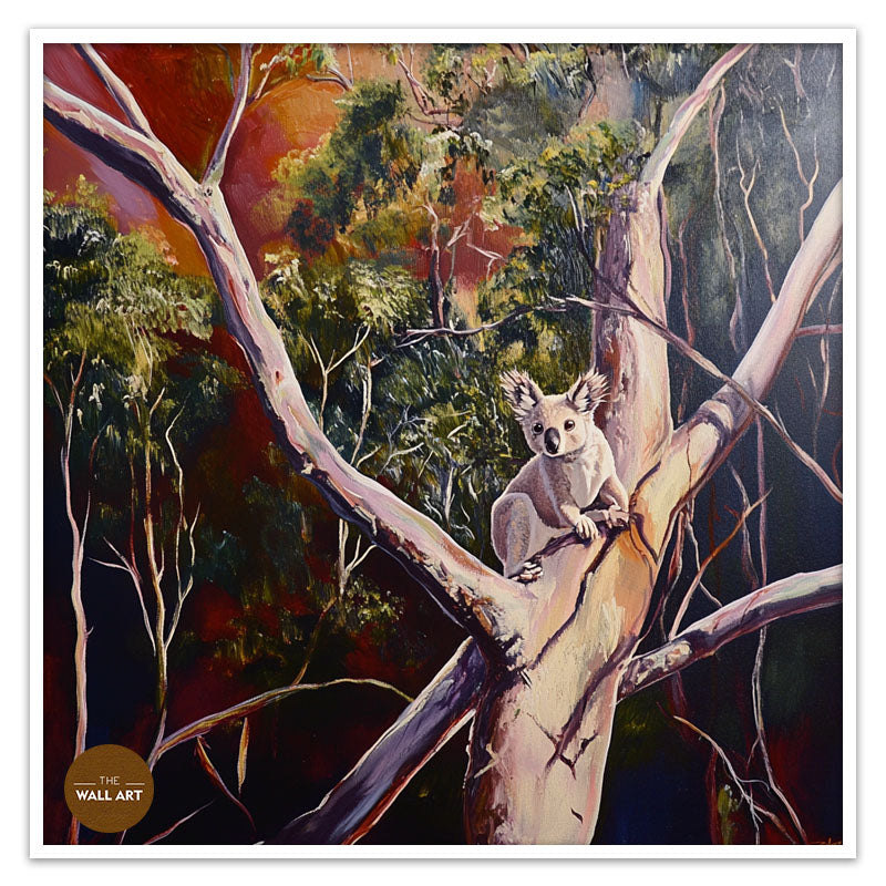 KOALA IN THE TREE