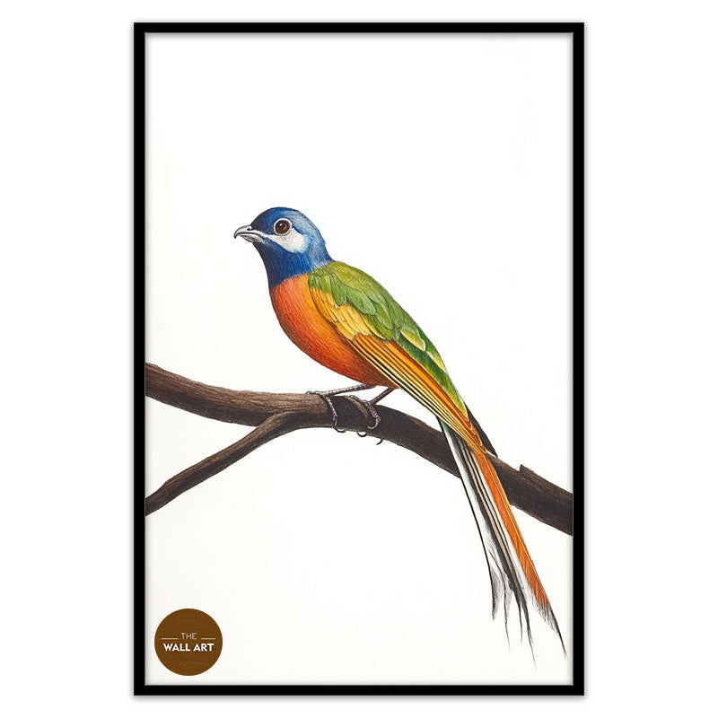 LONG TAIL BIRD ON BRANCH