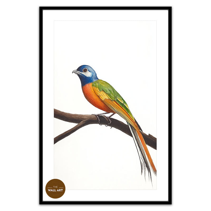 LONG TAIL BIRD ON BRANCH